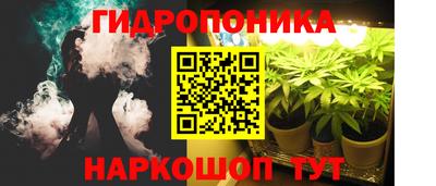 мяу мяу мука Славянск-на-Кубани