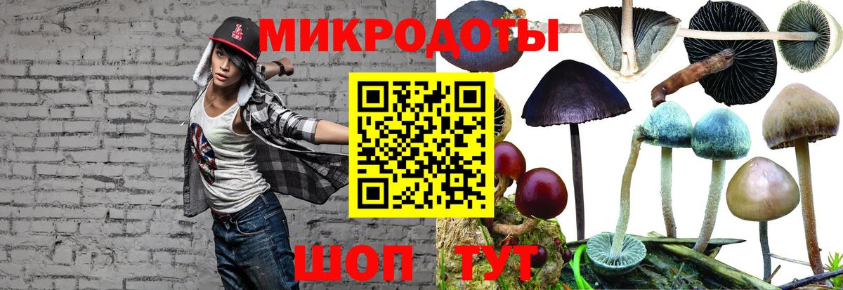 Псилоцибиновые грибы мицелий Сатка