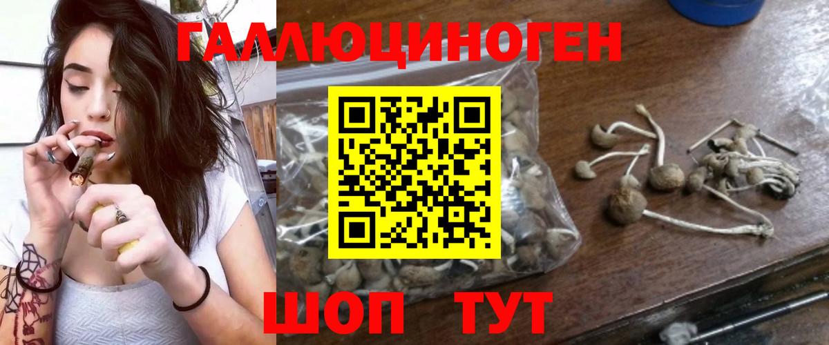 Псилоцибиновые грибы Psilocybine cubensis  Псилоцибиновые грибы мухоморы  Сатка  Вход с VPN 